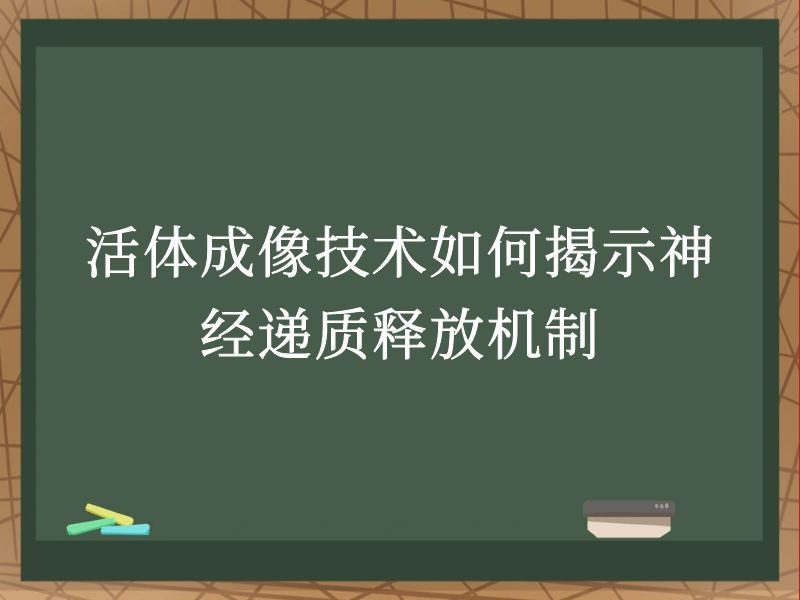 活体成像技术如何揭示神经递质释放机制